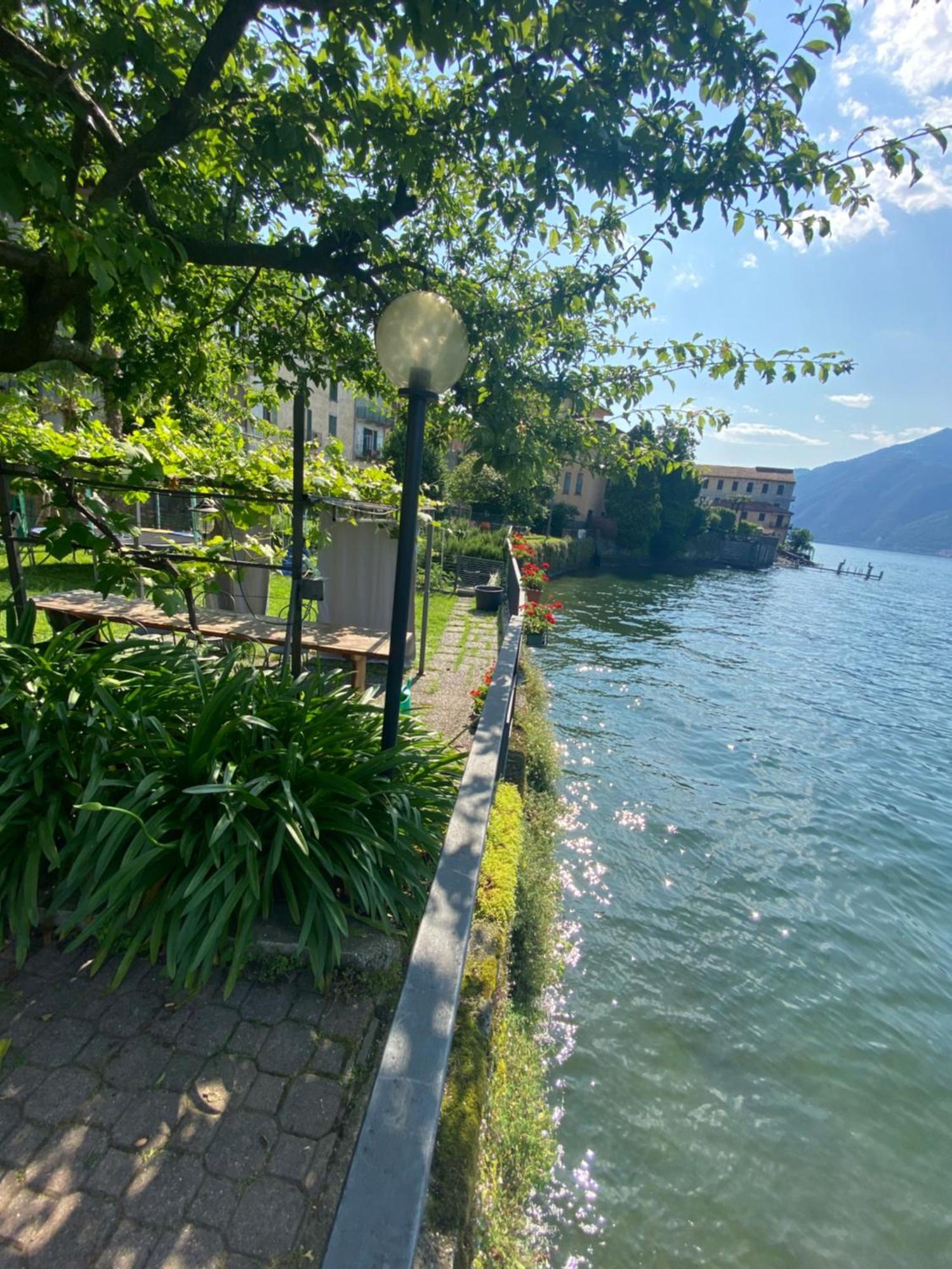 Peonia Apartment - Appartamento Vista Lago Lezzeno Exterior foto